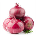 2021 New Harvest Export Natural Hot Selling Good Chinese Fresh Onion